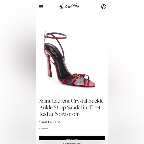 Saint Laurent Crystal Buckle Ankle Strap Sandal in Tibet Red - Picture 6 of 6
